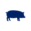 Pork - High Quality Meats from Hugh Phillips